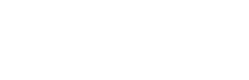 Lesir Partner